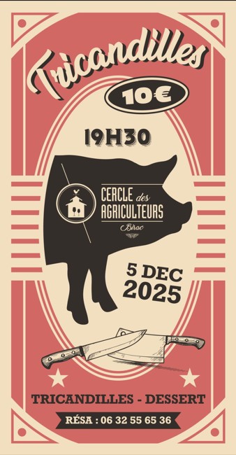 Capture d’écran 2025-11-17 154531.jpg